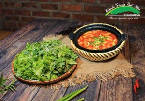 Rau mầm số cà chua